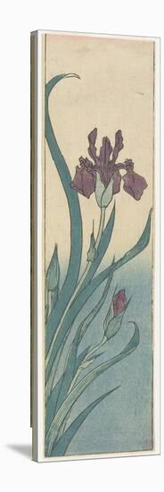 Iris, Early 19th Century-Utagawa Hiroshige-Stretched Canvas