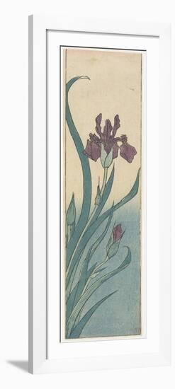 Iris, Early 19th Century-Utagawa Hiroshige-Framed Premium Giclee Print