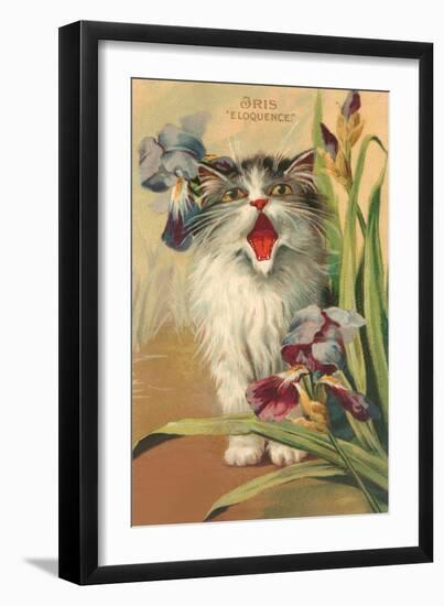 Iris Eloquence with Kitten-null-Framed Art Print