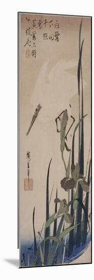 Iris et héron blanc-Ando Hiroshige-Mounted Giclee Print