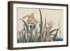 Iris et sauterelle-Katsushika Hokusai-Framed Giclee Print