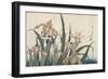 Iris et sauterelle-Katsushika Hokusai-Framed Giclee Print