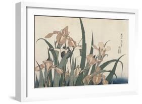 Iris et sauterelle-Katsushika Hokusai-Framed Giclee Print