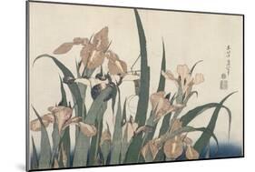 Iris et sauterelle-Katsushika Hokusai-Mounted Giclee Print