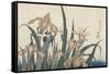 Iris et sauterelle-Katsushika Hokusai-Framed Stretched Canvas