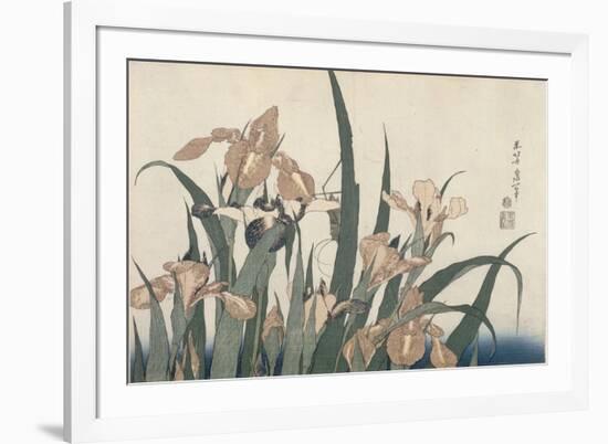 Iris et sauterelle-Katsushika Hokusai-Framed Giclee Print