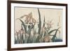 Iris et sauterelle-Katsushika Hokusai-Framed Giclee Print