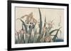 Iris et sauterelle-Katsushika Hokusai-Framed Giclee Print