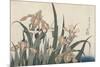 Iris et sauterelle-Katsushika Hokusai-Mounted Giclee Print
