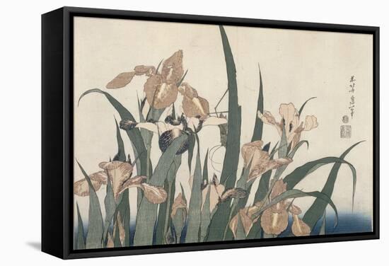 Iris et sauterelle-Katsushika Hokusai-Framed Stretched Canvas