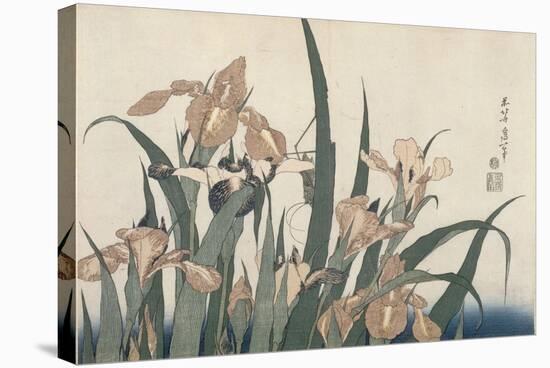 Iris et sauterelle-Katsushika Hokusai-Stretched Canvas