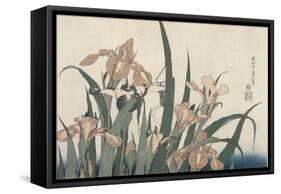 Iris et sauterelle-Katsushika Hokusai-Framed Stretched Canvas