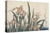 Iris et sauterelle-Katsushika Hokusai-Stretched Canvas
