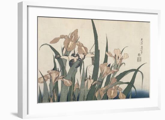 Iris et sauterelle-Katsushika Hokusai-Framed Giclee Print