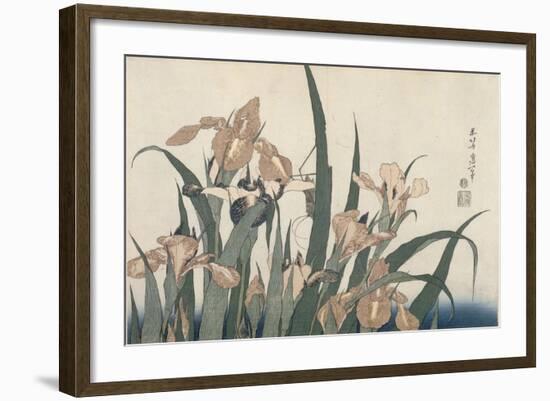 Iris et sauterelle-Katsushika Hokusai-Framed Giclee Print