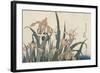 Iris et sauterelle-Katsushika Hokusai-Framed Giclee Print