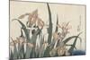 Iris et sauterelle-Katsushika Hokusai-Mounted Giclee Print