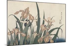 Iris et sauterelle-Katsushika Hokusai-Mounted Giclee Print