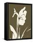 Iris Fall-Albert Koetsier-Framed Stretched Canvas