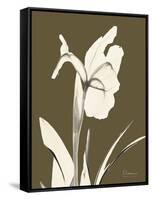 Iris Fall-Albert Koetsier-Framed Stretched Canvas