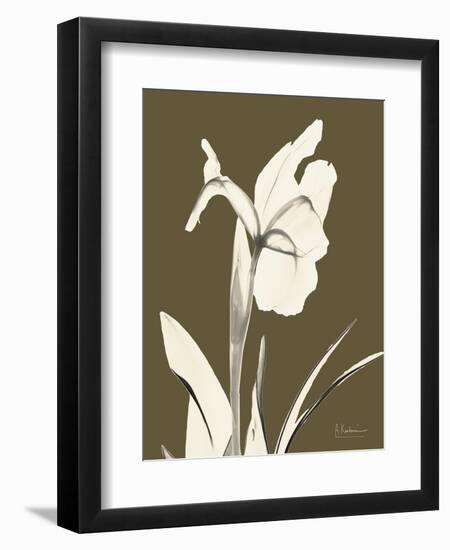 Iris Fall-Albert Koetsier-Framed Art Print