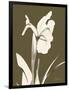 Iris Fall-Albert Koetsier-Framed Art Print