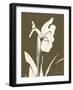 Iris Fall-Albert Koetsier-Framed Art Print