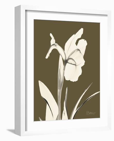 Iris Fall-Albert Koetsier-Framed Art Print