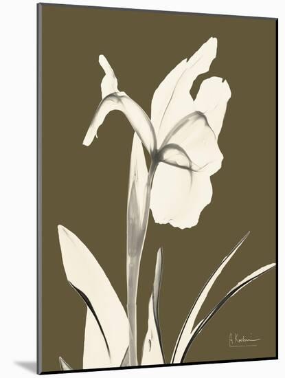 Iris Fall-Albert Koetsier-Mounted Art Print