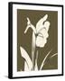 Iris Fall-Albert Koetsier-Framed Art Print