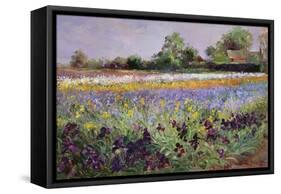 Iris Field and Two Cottages-Timothy Easton-Framed Stretched Canvas