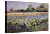 Iris Field and Two Cottages-Timothy Easton-Stretched Canvas