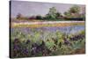 Iris Field and Two Cottages-Timothy Easton-Stretched Canvas