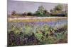 Iris Field and Two Cottages-Timothy Easton-Mounted Premium Giclee Print