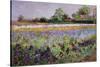 Iris Field and Two Cottages-Timothy Easton-Stretched Canvas