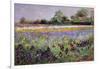 Iris Field and Two Cottages-Timothy Easton-Framed Giclee Print