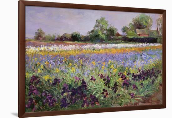 Iris Field and Two Cottages-Timothy Easton-Framed Giclee Print