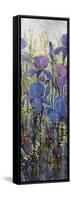 Iris Field II-Tim O'toole-Framed Stretched Canvas