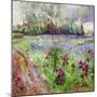 Iris Field, Storm Gathering, 1991-Timothy Easton-Mounted Giclee Print