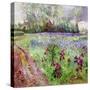 Iris Field, Storm Gathering, 1991-Timothy Easton-Stretched Canvas