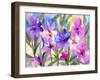 Iris Fields-Neela Pushparaj-Framed Giclee Print