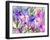 Iris Fields-Neela Pushparaj-Framed Giclee Print