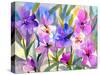 Iris Fields-Neela Pushparaj-Stretched Canvas