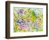 Iris Fields-Neela Pushparaj-Framed Photographic Print