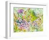 Iris Fields-Neela Pushparaj-Framed Photographic Print