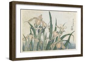 Iris Flowers and Grasshopper, C.1830-31-Katsushika Hokusai-Framed Premium Giclee Print