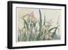 Iris Flowers and Grasshopper, C.1830-31-Katsushika Hokusai-Framed Premium Giclee Print
