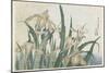 Iris Flowers and Grasshopper, C.1830-31-Katsushika Hokusai-Mounted Premium Giclee Print
