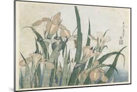 Iris Flowers and Grasshopper, C.1830-31-Katsushika Hokusai-Mounted Premium Giclee Print