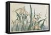 Iris Flowers and Grasshopper, C.1830-31-Katsushika Hokusai-Framed Stretched Canvas